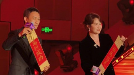 国内精品视频久久